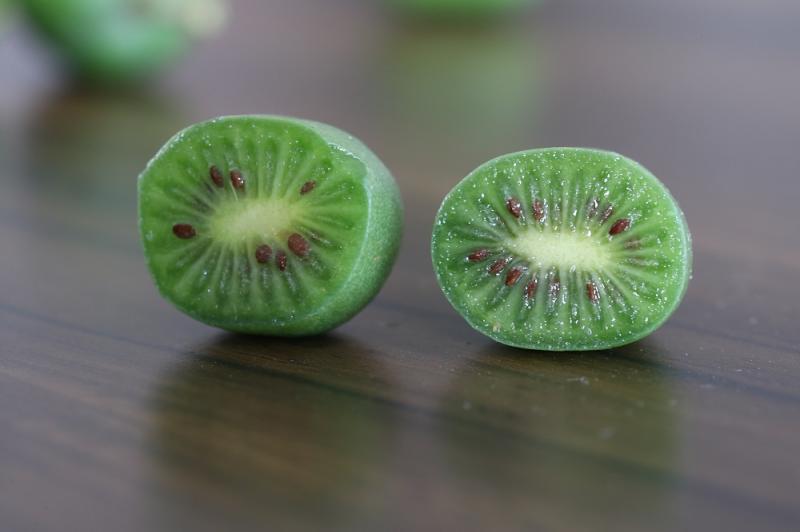 猕猴桃|拇指大小的猕猴桃吃过吗？上海本地首次大规模种植这种水果，下周就要上市了