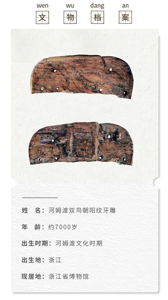 河姆渡遗址|富有艺术感的牙齿——河姆渡文化双鸟朝阳纹牙雕