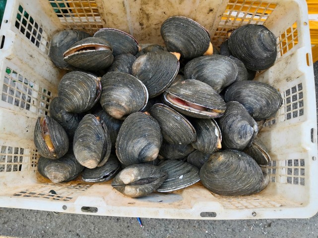 干锅鸡焖蛤味道鲜美食材不贵