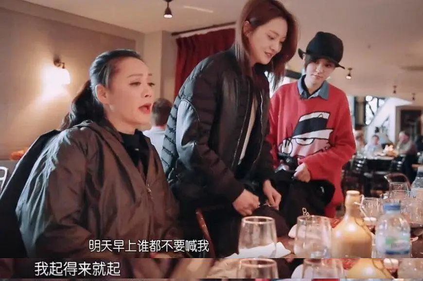 花儿与少年2|因为郑爽去重扒《花儿与少年2》，没想到问题最大的是她