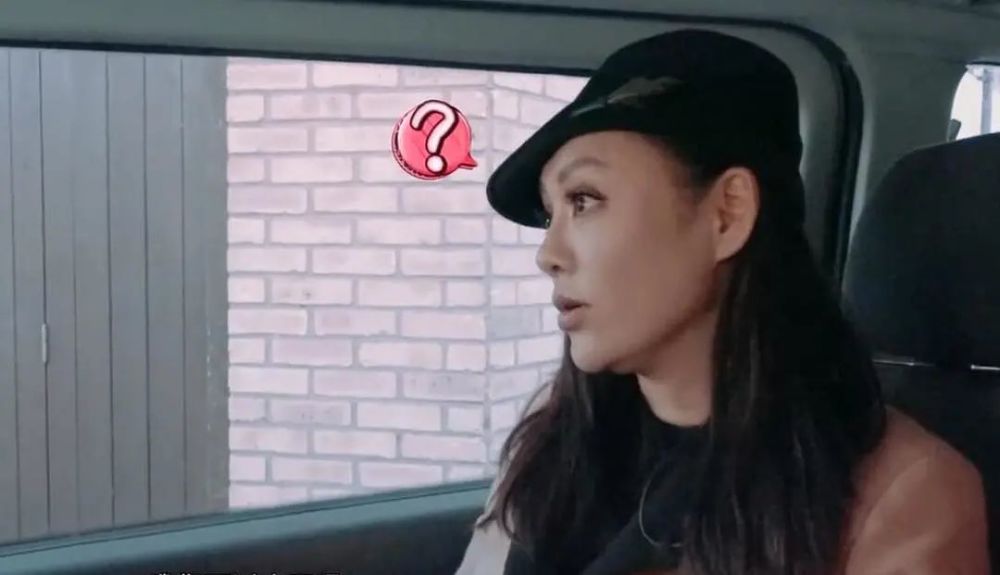 花儿与少年2|因为郑爽去重扒《花儿与少年2》，没想到问题最大的是她