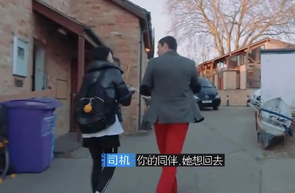 花儿与少年2|因为郑爽去重扒《花儿与少年2》，没想到问题最大的是她