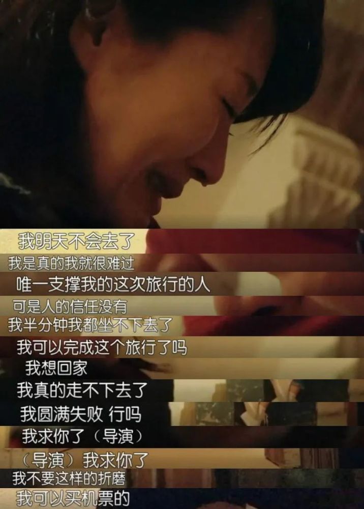 花儿与少年2|因为郑爽去重扒《花儿与少年2》，没想到问题最大的是她