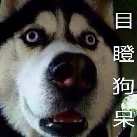 孙铱|她是什么来头，抢戏、加戏一个不落，还跟好多男演员不清不楚