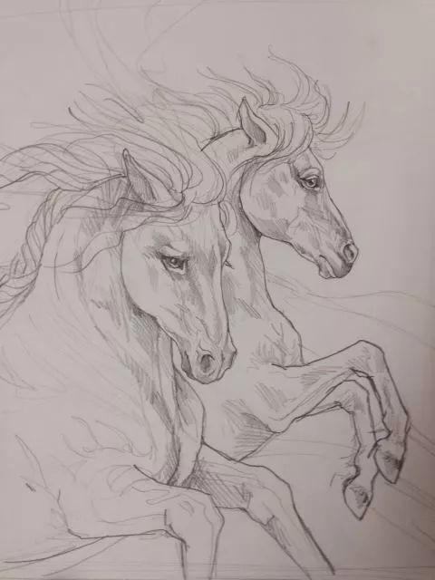 一骑绝尘的素描功底最英俊潇洒的马儿