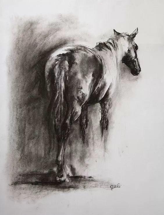 一骑绝尘的素描功底!最英俊潇洒的马儿!