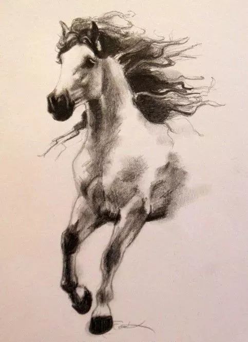 一骑绝尘的素描功底!最英俊潇洒的马儿!