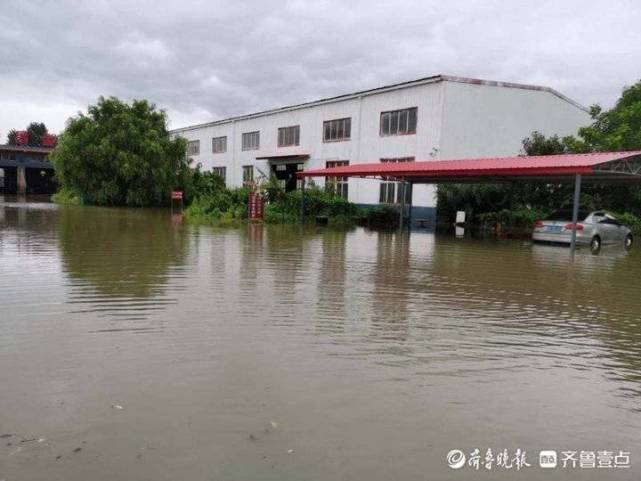 青岛即墨南泉街道王演庄村书记冒雨在水中救援老人