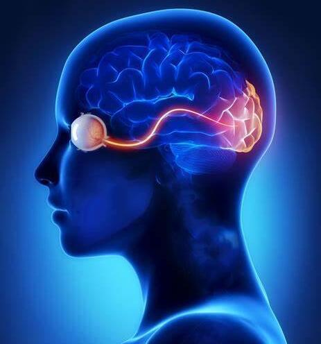 大脑|从2012年开始，时间就过得越来越快？是时间加速了吗？