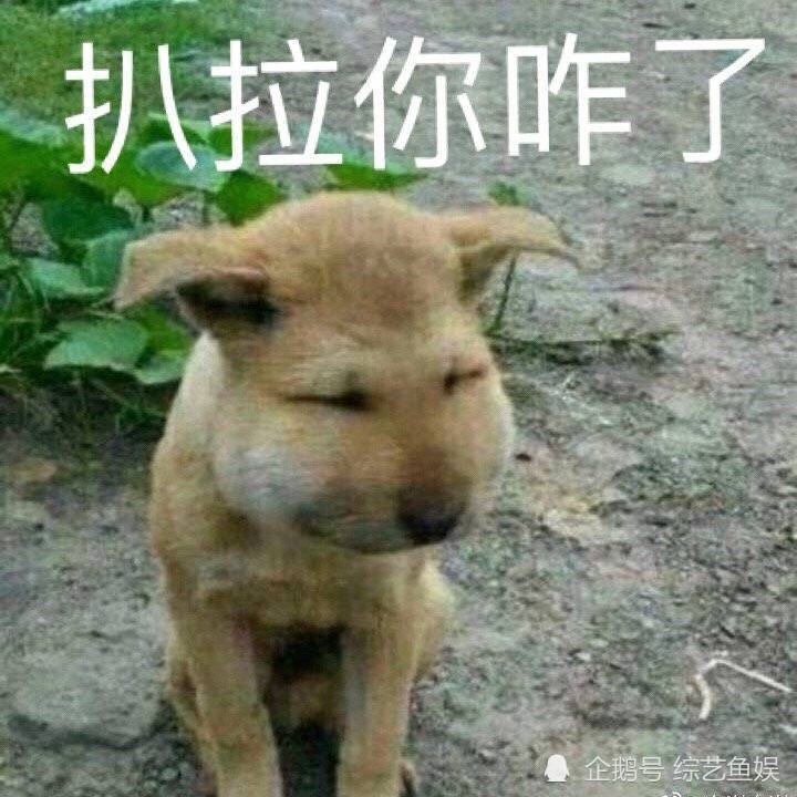 琉璃|破12亿大关！《琉璃》：没想到腾蛇昊辰才是观众的快乐源泉
