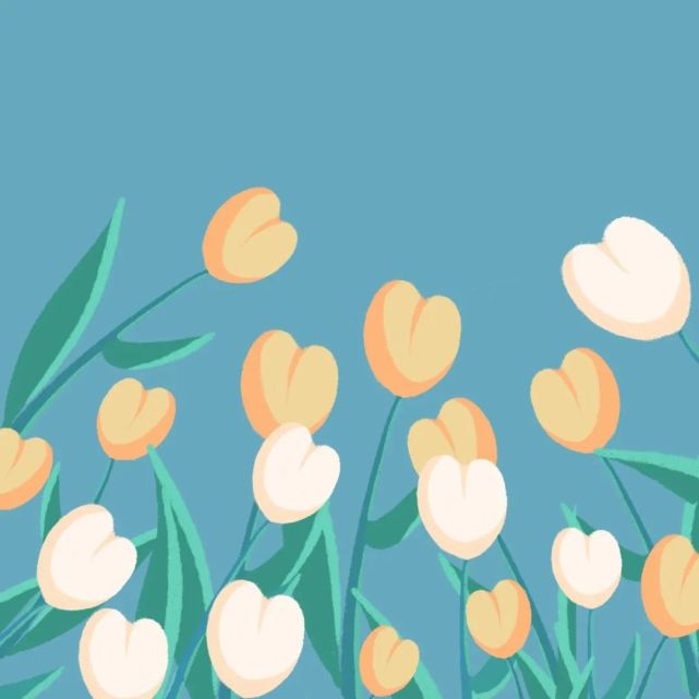 唯美清新|微信状态图