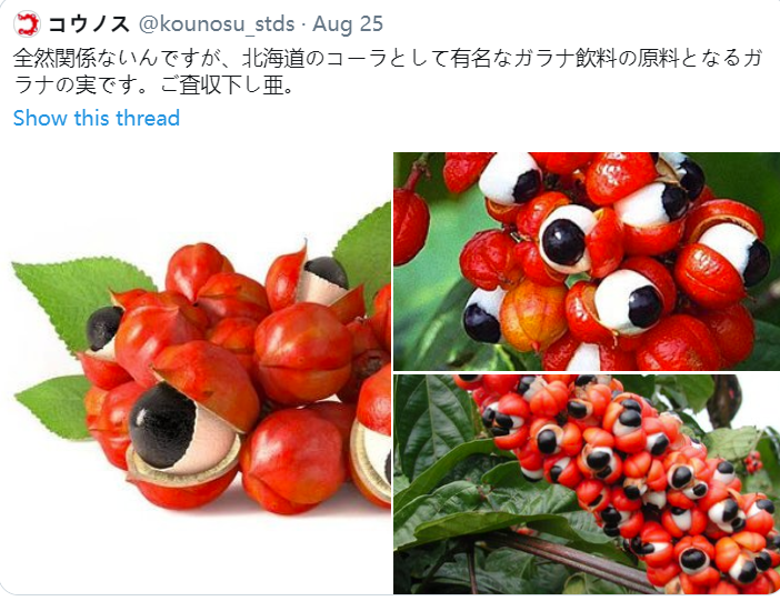 日本|日本世博会的这个logo，被网友们恶搞上了热搜……