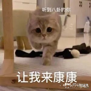 刘思瑶|抖音一姐刘思瑶被喷到退圈了？