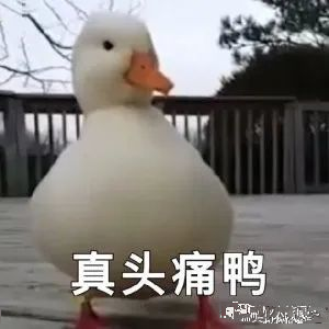 刘思瑶|抖音一姐刘思瑶被喷到退圈了？