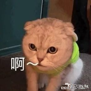 刘思瑶|抖音一姐刘思瑶被喷到退圈了？
