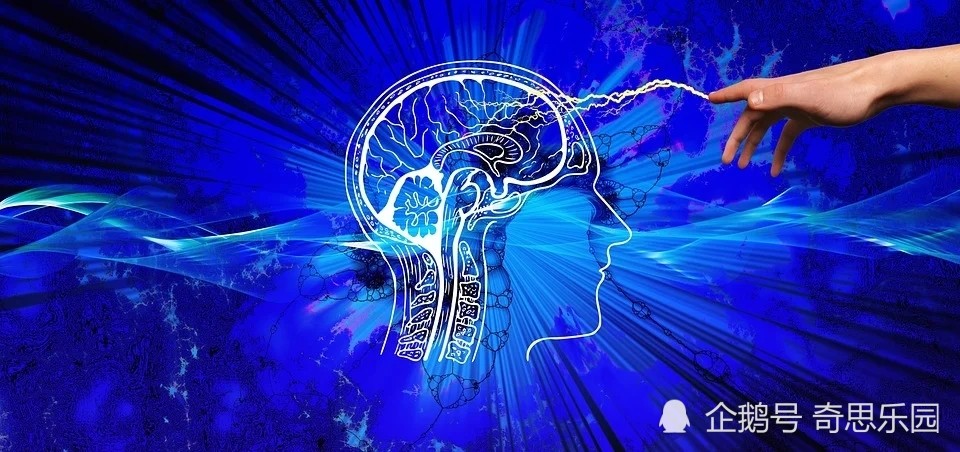 宇航员|什么是真相？那些貌似科学的民间传闻，究竟有几个是真的