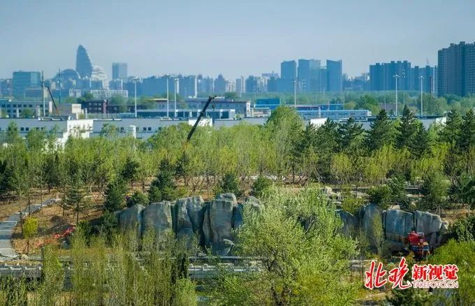 北京大学|男子在北大妇幼医院门前乱插队还打伤民警，判了！