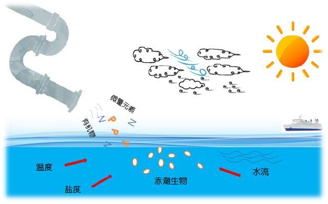 中国科学家改良后的粘土 成了治理赤潮的利器 腾讯新闻