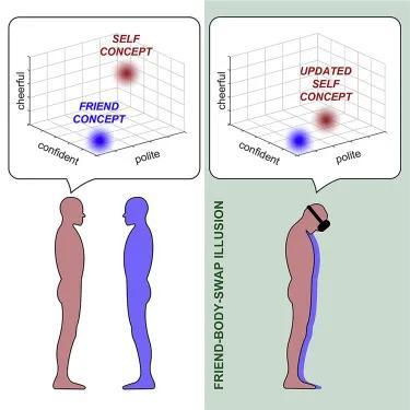 意识|和朋友“交换身体”如何改变自我意识