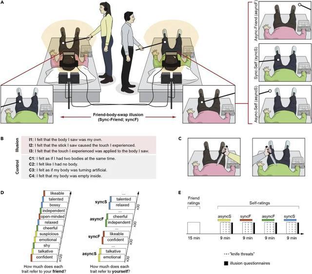 意识|和朋友“交换身体”如何改变自我意识