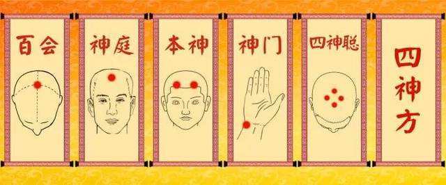 重庆二九生命科学研究院四神聪分为4个神聪穴,分别位于百会穴前,后,左