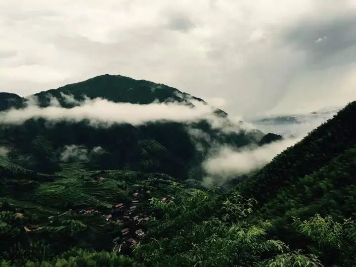 栾少波|1只鸡近300元，一颗蛋2.5元！每只鸡要“跑”100万步…香吗？