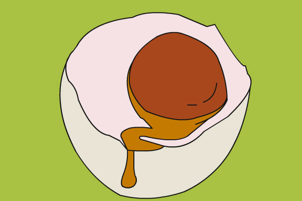 为什么腌鸭蛋会流油