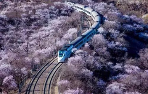 一起坐着火车游览北京！