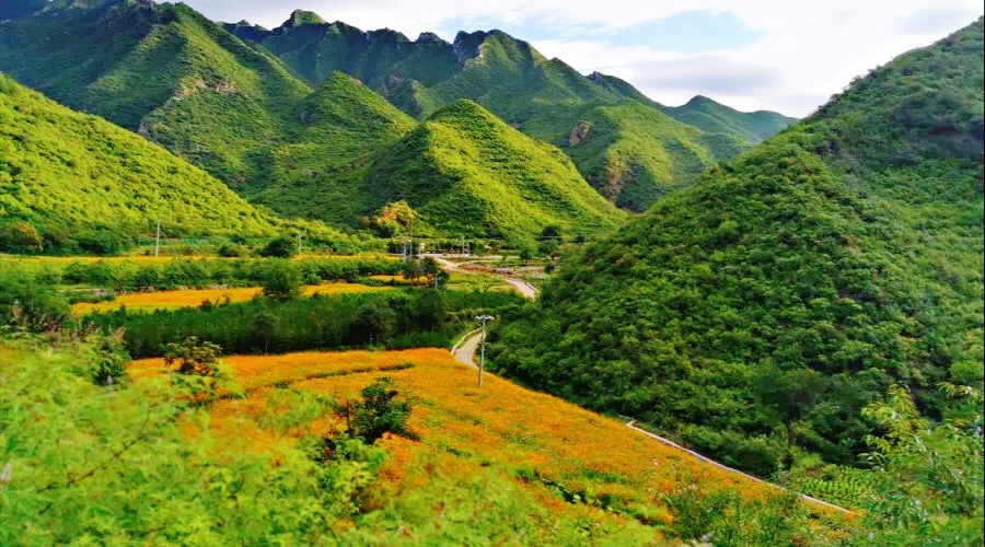 门头沟区|黑色煤村变身“网红打卡地”，门头沟这个花海值得一去