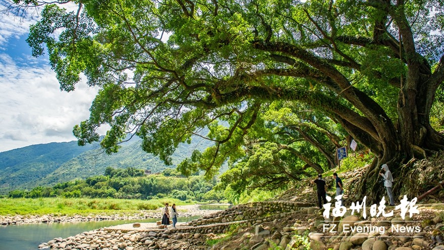 福州永泰春光村古韵袖珍村焕发新春光