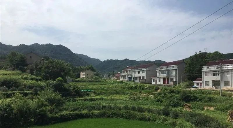 桃英|舒城：许召国——永不褪色的桃花……！
