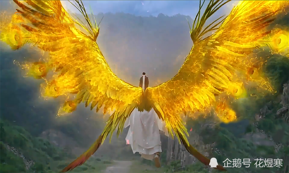 琉璃禹司凤是金赤鸟妖还是凤凰