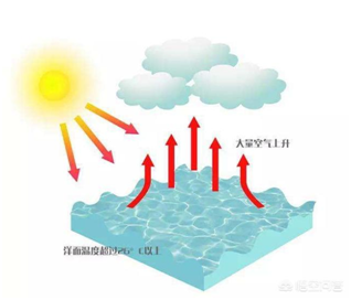 水面附近的水蒸气温度较高,受热膨胀之后就会上升,形成上升气流.