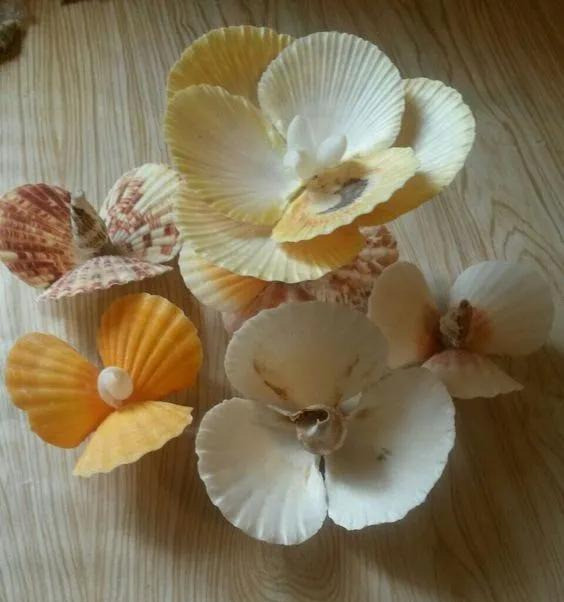 不起眼的贝壳粘起来,一不小心成了艺术品,贝壳亲子手工附教程