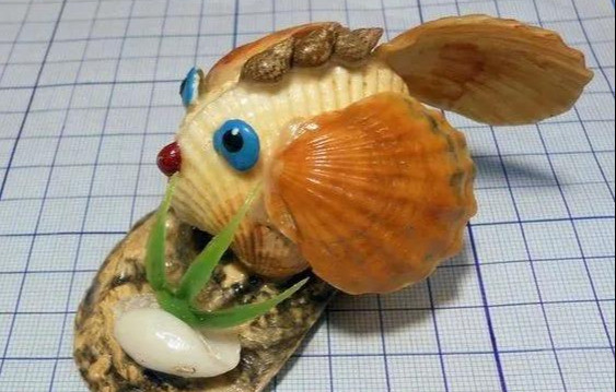 用贝壳做手工 腾讯网