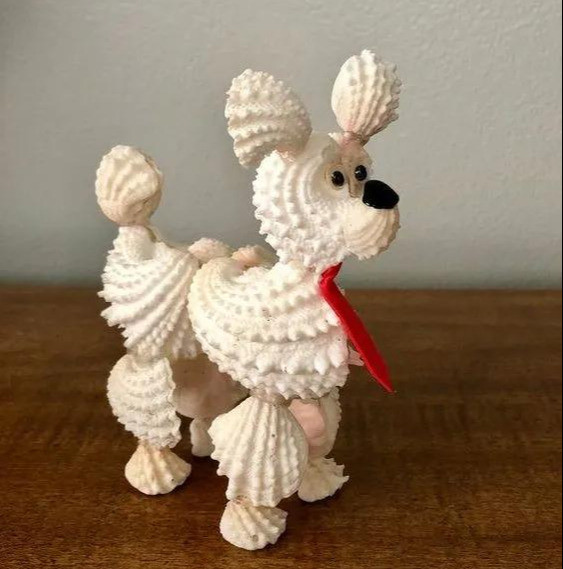 不起眼的贝壳粘起来,一不小心成了艺术品,贝壳亲子手工附教程