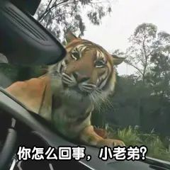 cba公司|CBA2.0继续进行！9支球队LOGO再升级！这次看起来跟玩似的！