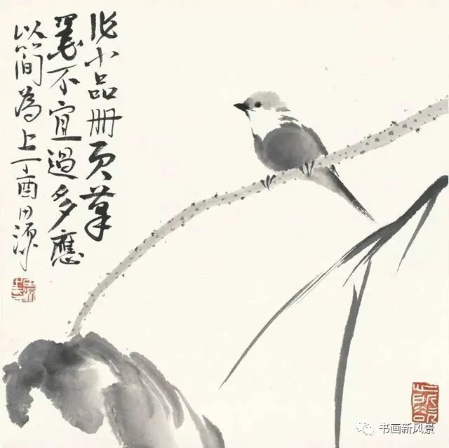 小品|一组极简花鸟小品，妙得其神！