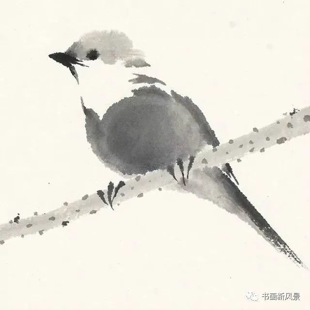 小品|一组极简花鸟小品，妙得其神！