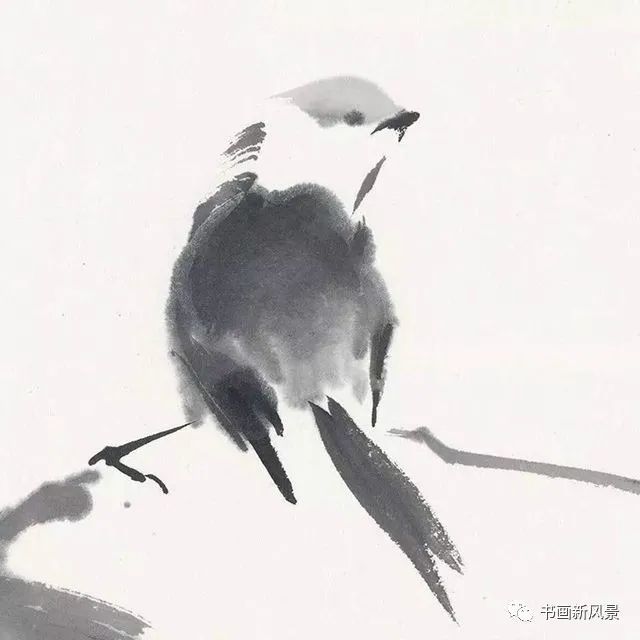 小品|一组极简花鸟小品，妙得其神！