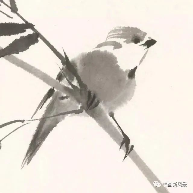 小品|一组极简花鸟小品，妙得其神！