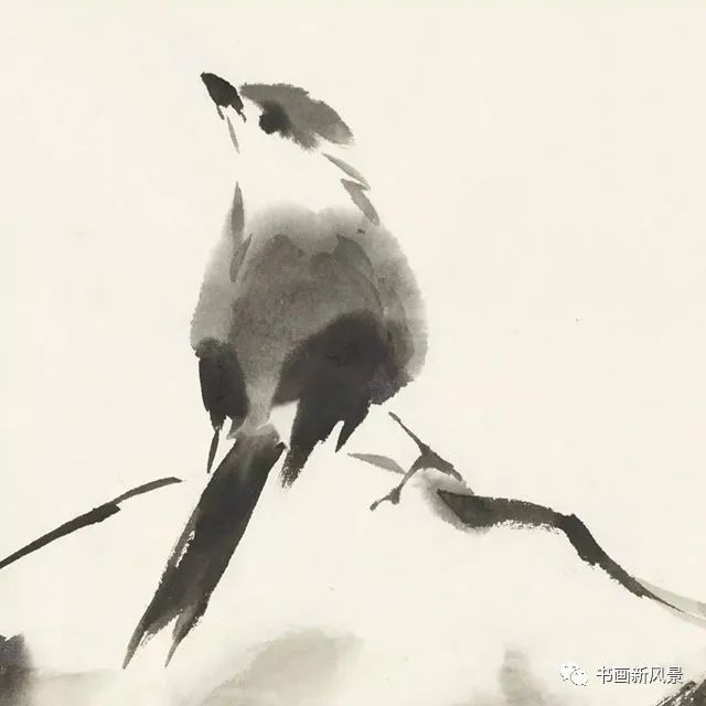 小品|一组极简花鸟小品，妙得其神！