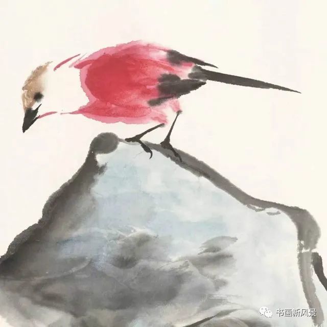 小品|一组极简花鸟小品，妙得其神！