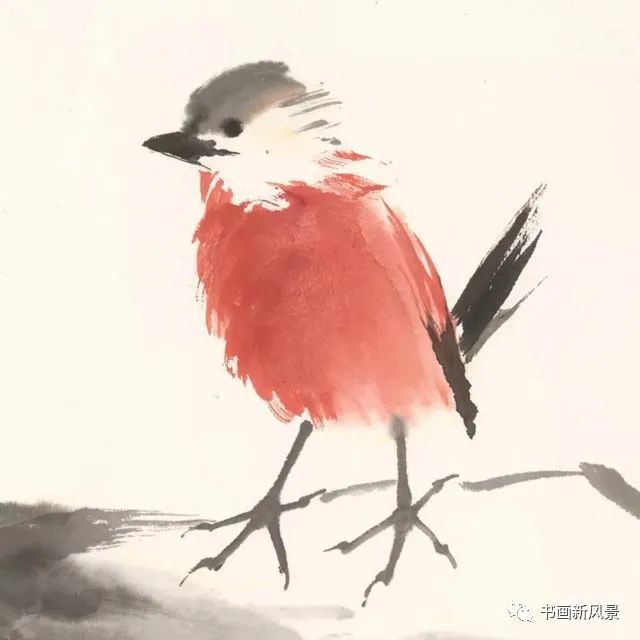 小品|一组极简花鸟小品，妙得其神！