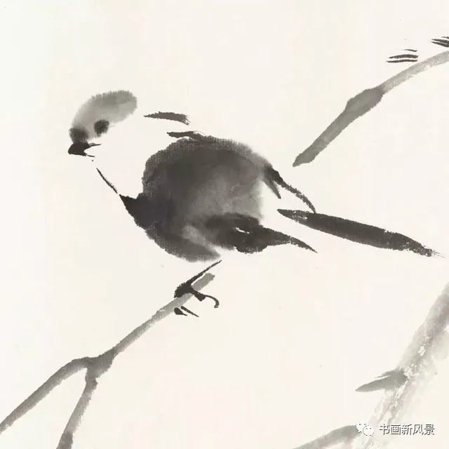 小品|一组极简花鸟小品，妙得其神！