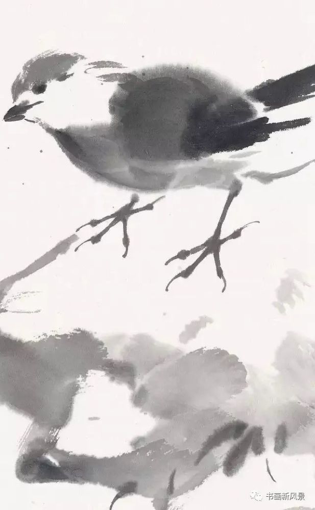 小品|一组极简花鸟小品，妙得其神！