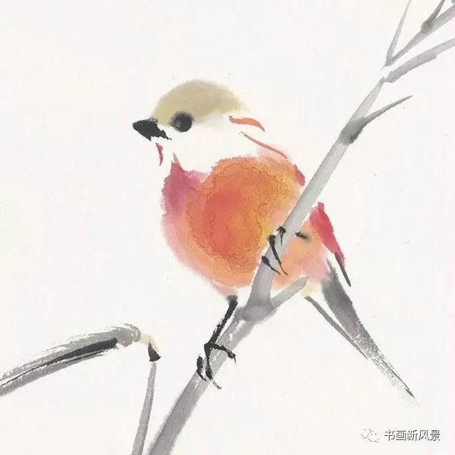 小品|一组极简花鸟小品，妙得其神！