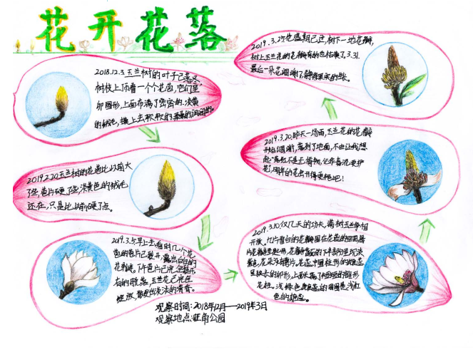 美丽中国我是行动者2019年全国青少年自然笔记大赛优秀作品集(3)