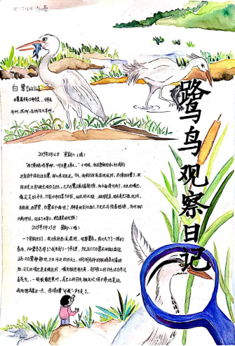 美丽中国我是行动者2019年全国青少年自然笔记大赛优秀作品集(3)