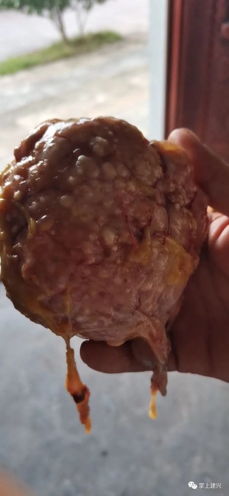 城事南部某群众获得鸡宝价值上千万